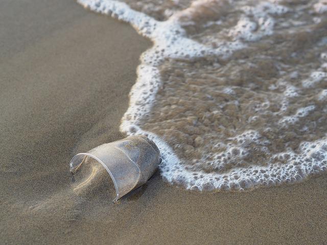 A plastic cup in the sand