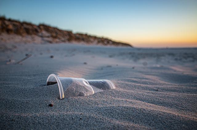 A plastic cup buried in the beach sand