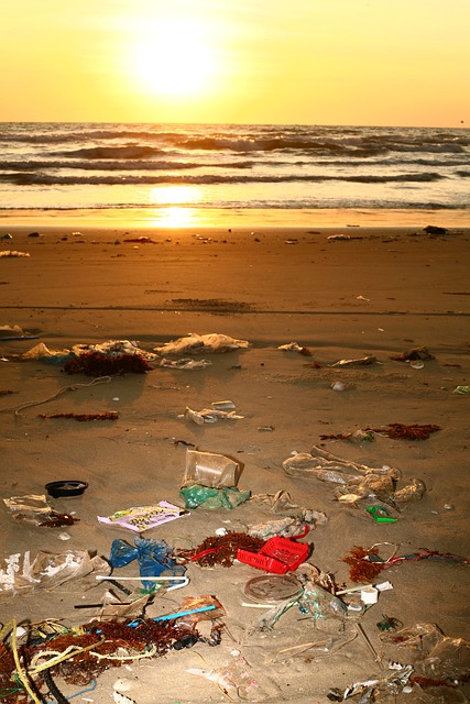 A beach littered with trash