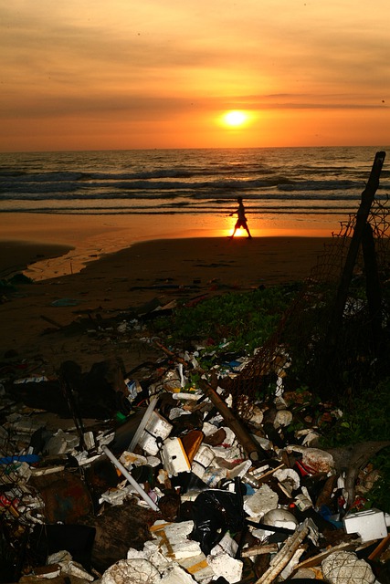 A beach littered with trash