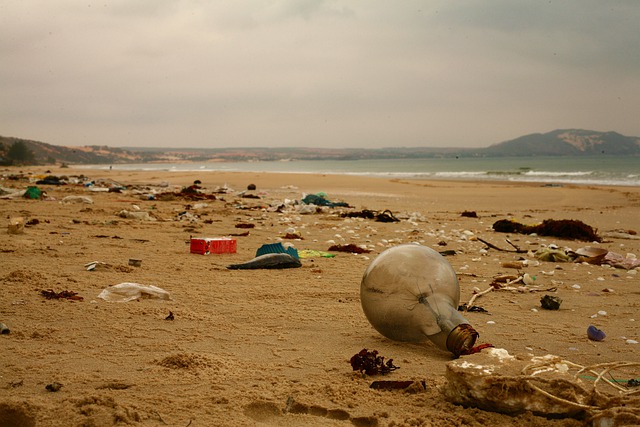 The beach filled with trash