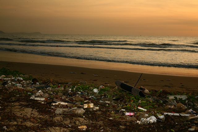 A beach with trash littered on it