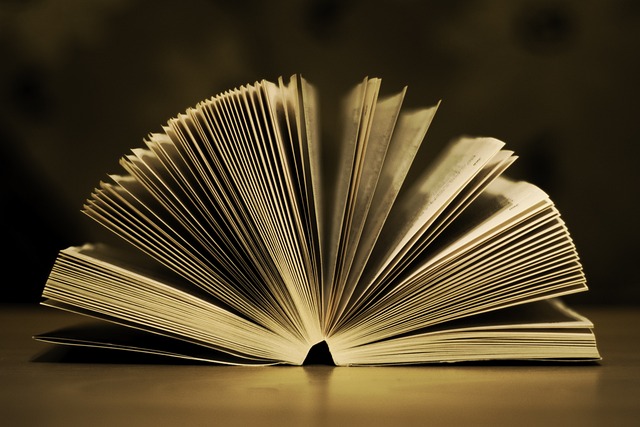 an open book on a flat table